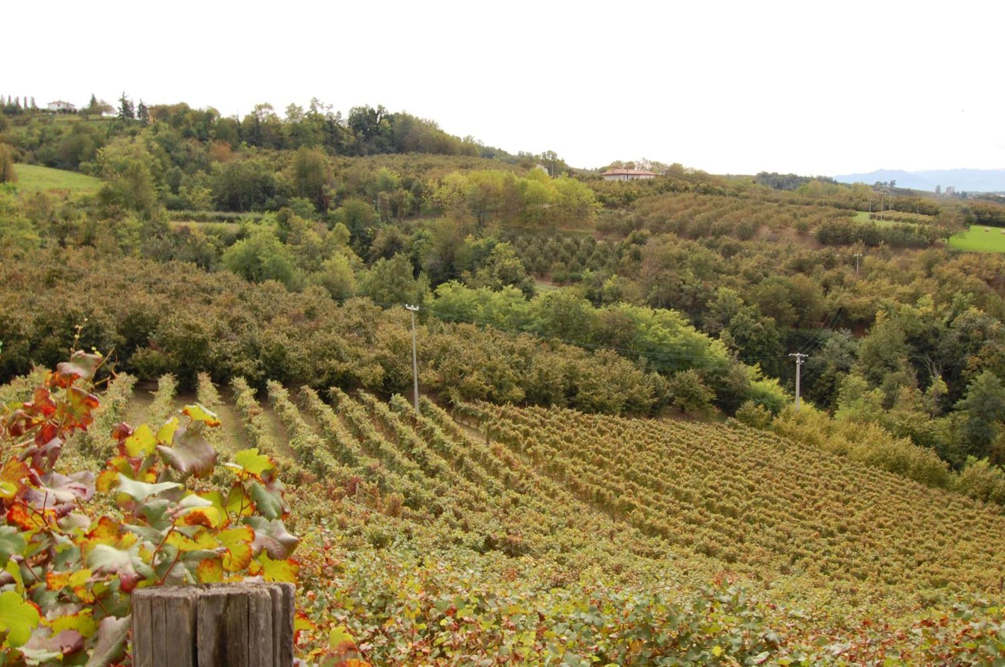 Agriturismo 'D Raine Montelupo Albese Экстерьер фото